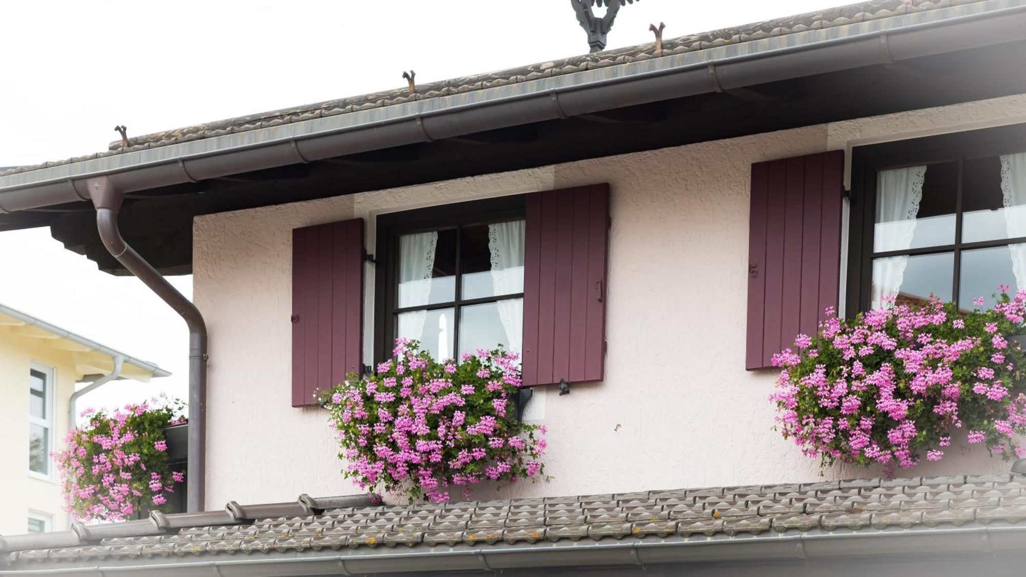 Gaestehaus Sattlerhof Bernau am Chiemsee Eksteriør billede